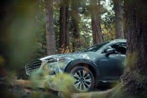 Mazda Dealer 