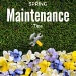 spring-tips
