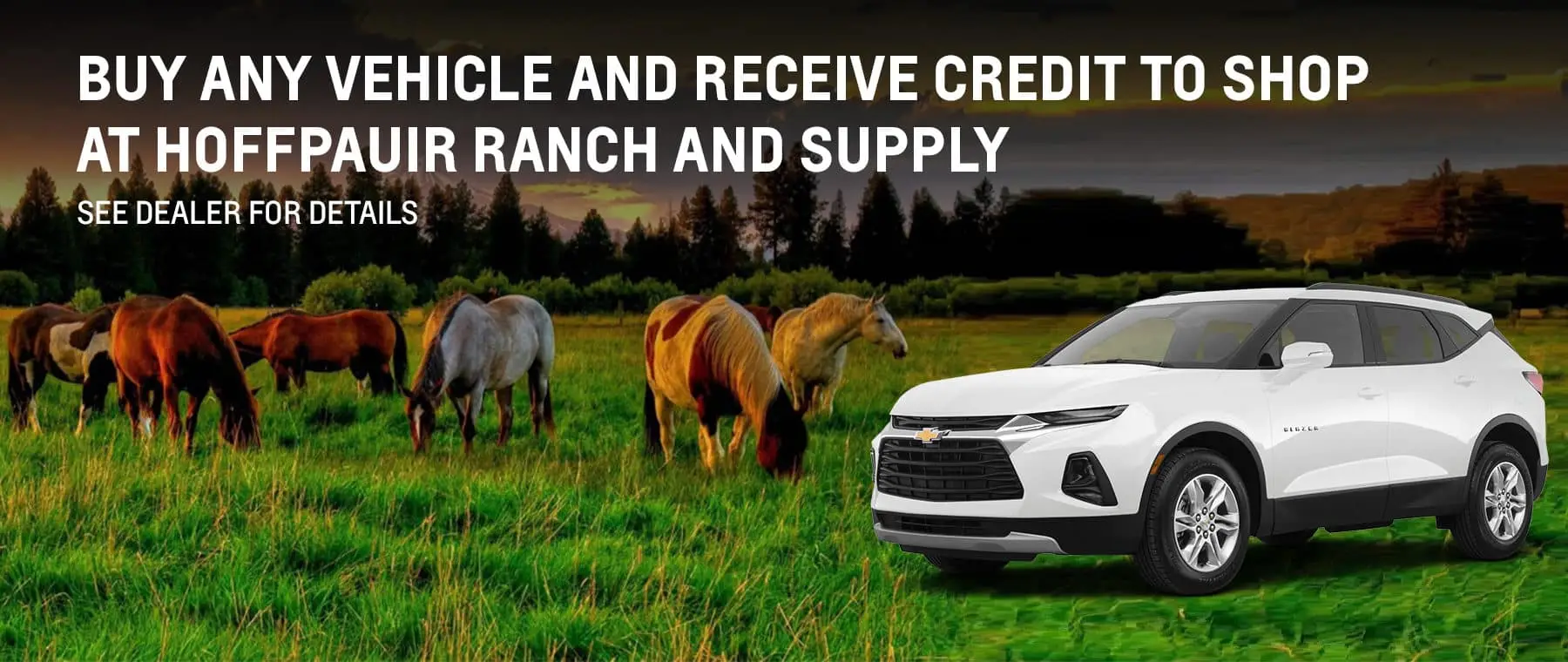 BUY ANY VEHICLE AND RECEIVE CREDIT TO SHOP AT HOFFPAUIR RANCH AND SUPPLY