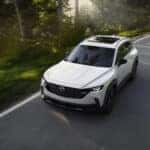 Temecula shoppers choose a hybrid SUV