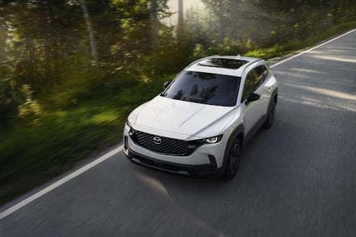 Temecula shoppers choose a hybrid SUV