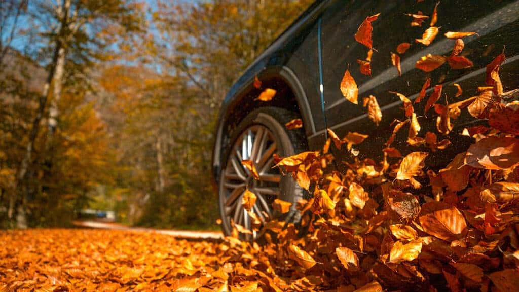 Car driving through colorful leaves
