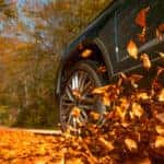 Car driving through colorful leaves