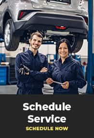 technicians