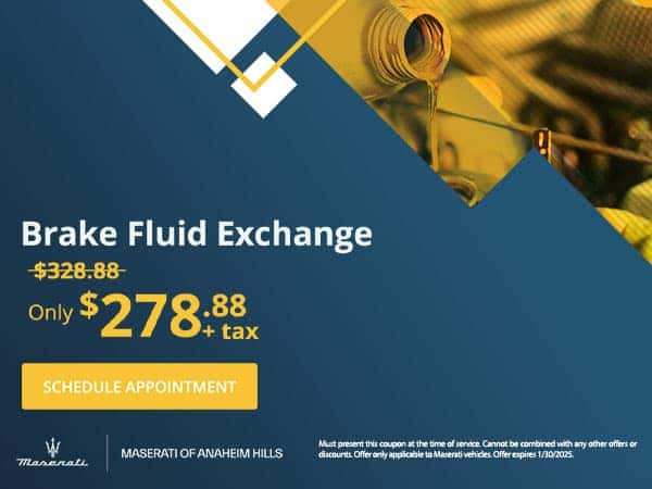 Brake-Fluid-Change