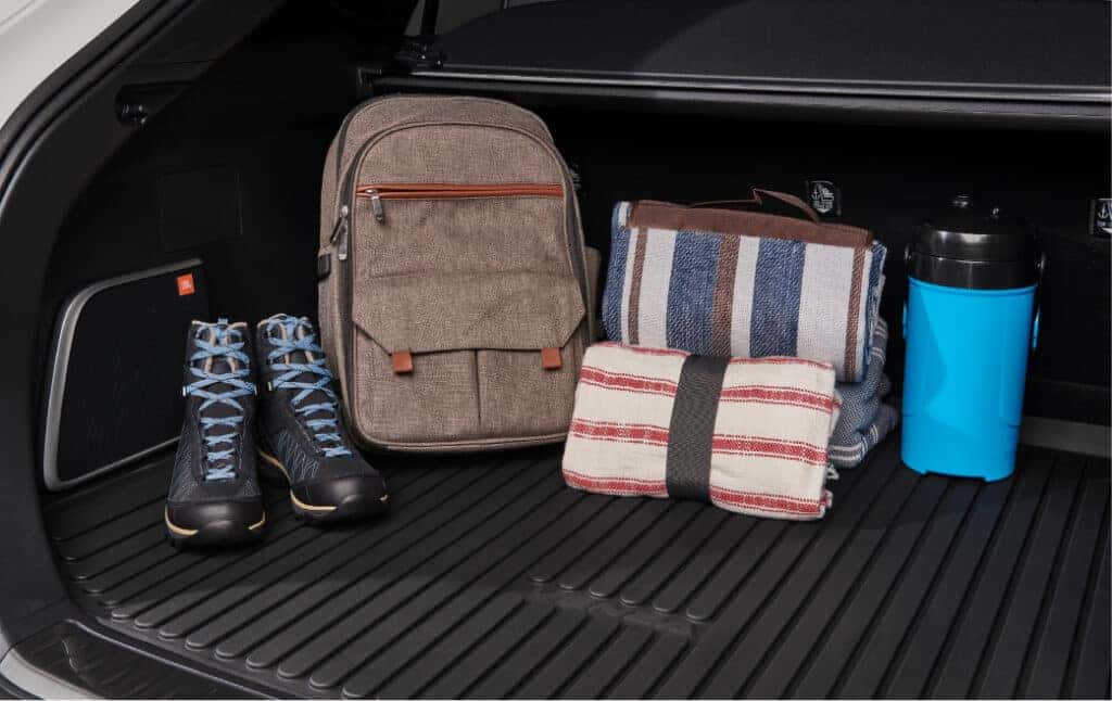 Cargo Mat