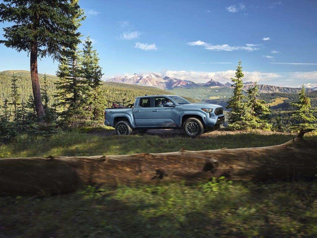 Tacoma Truck in Forest