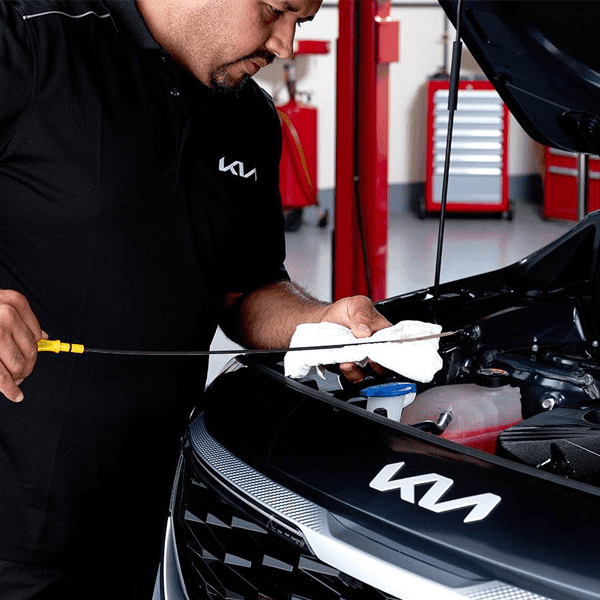 Kia Service Offer