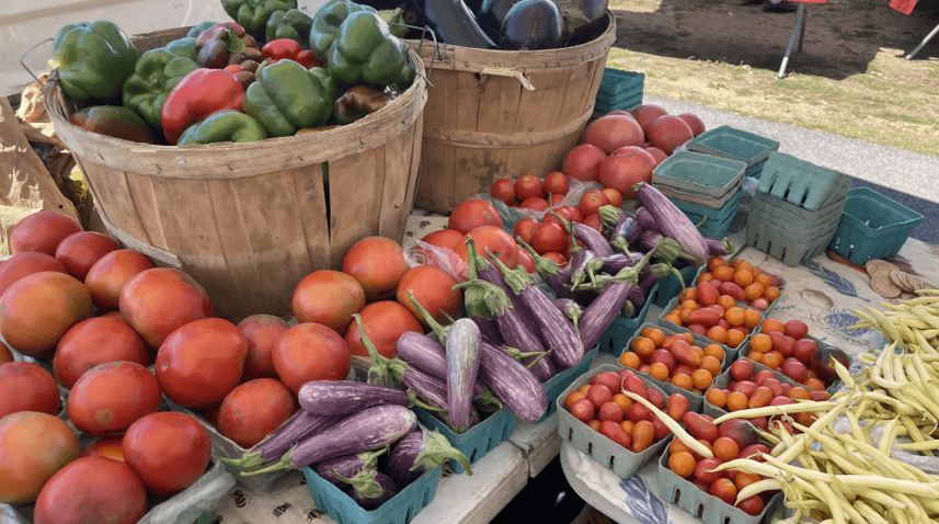 Fresh vegetables displayed at outdoor farmers market