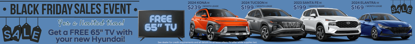 Universal Hyundai_Black Friday_1400x150