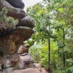 Shawnee National Forest, a weekend getaway from Marion, Illinois