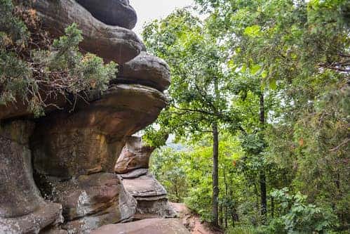 Shawnee National Forest, a weekend getaway from Marion, Illinois