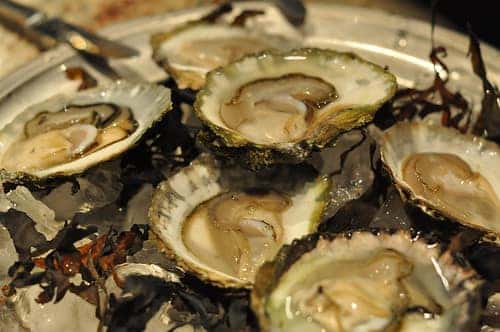 An oyster bar restaurant in St. Louis, Missouri