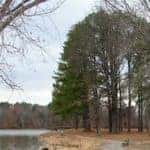 Crab Orchard National Refuge, one of the best places to visit in Marion, IL