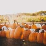 fall festivities in marion, il