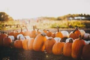 fall festivities in marion, il