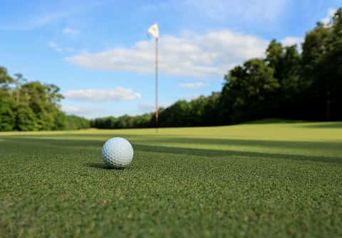 a golf ball on the green at a golf course