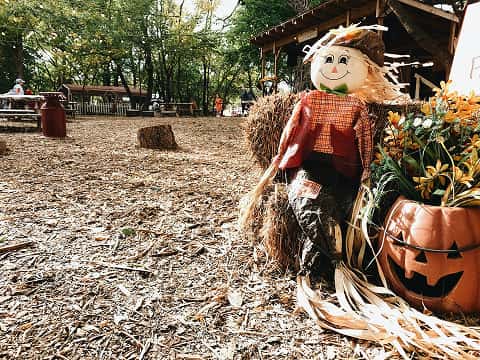 fall festival