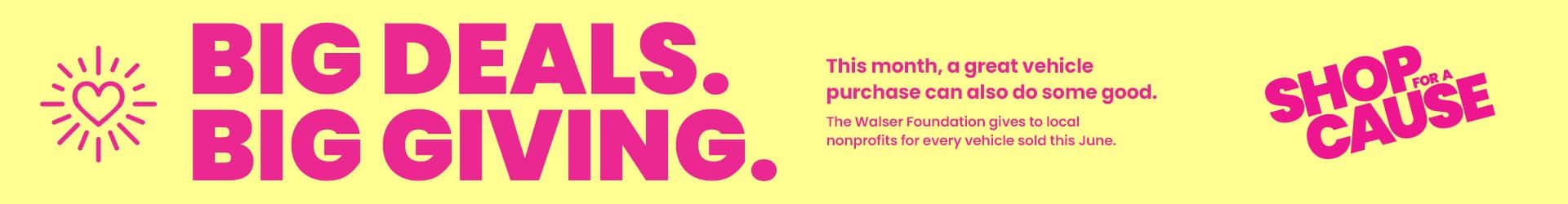 Shop for a Cause