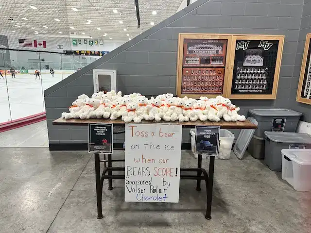 Teddy Bear Toss